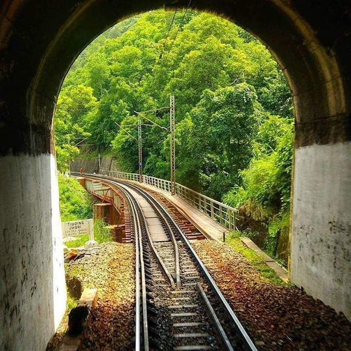 Araku Train